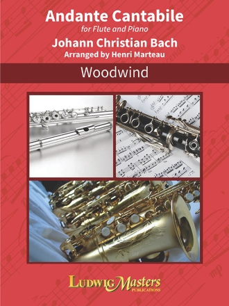 Andante Cantabile Flute solo