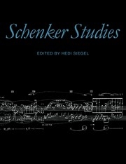 Schenker Studies  Paperback