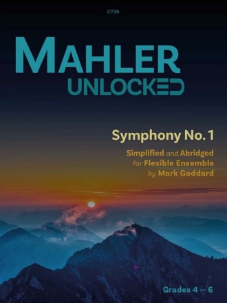 Mahler Unlocked for Flexible Ensemble Flexible Ensemble