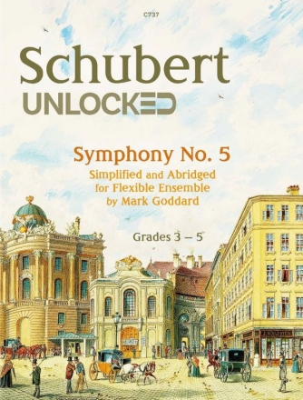 Schumann Unlocked for Flexible Ensemble Flexible Ensemble