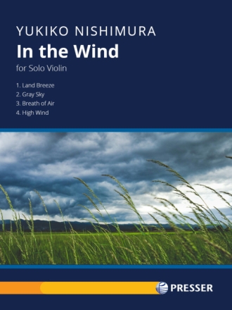 In the Wind Violine