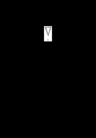 The Conductor's Triangle  Buch
