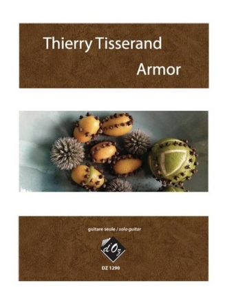 Armor pour guitar