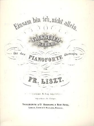 Einsam bin ich nicht allein f�r Klavier