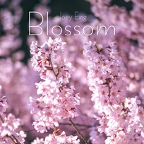 Blossom f�r Marimba