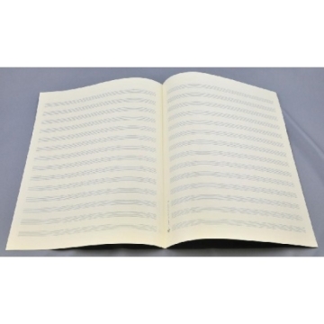 Notenpapier Bach-Format hoch 14 Systeme 24x32,5 cm (5 B�gen)