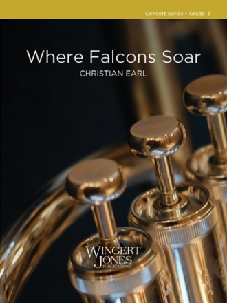 Where Falcons Soar
