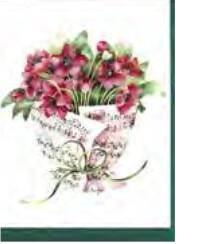 Doppelkarte Christrosen