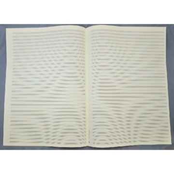 Notenpapier DIN A3 hoch 34 Systeme (5 B�gen)