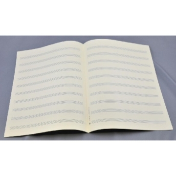 Notenpapier Bach-Format hoch 10 Systeme 24x32,5 cm (5 B�gen)