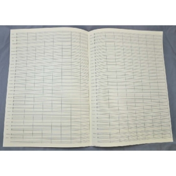Notenpapier DIN A 3 hoch 32 Systeme mit Taktstrichen (5 B�gen)