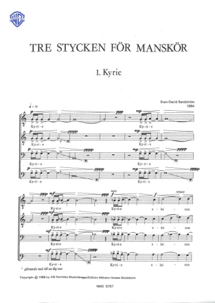 3 stycken foer manskoer score