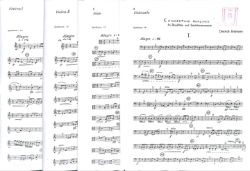 Dietrich Erdmann Concertino grazioso f�r Blockfl�te und Streicher Bfl und Streicher