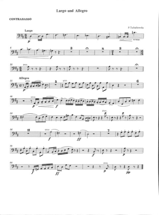 Largo und Allegro f�r Fl�te und Streicher Kontraba�