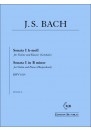 Sonate h-moll  Nr.1 BWV 1014 f�r Violine und Klavier (Cembalo)