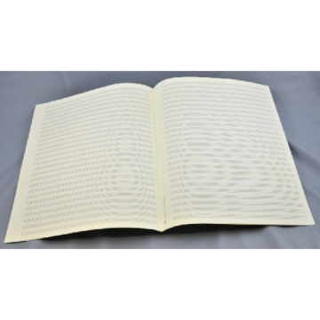 Notenpapier Quart-Format hoch 26 Systeme 27x34 cm ohne Hilfslinien (5 B�gen)