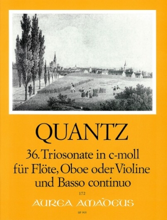 Triosonate c-Moll Nr.36 f�r Fl�te, Oboe (Violine) und Bc