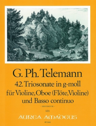 Ttriosonate g-Moll Nr.42 f�r Violine, Oboe (Fl�te, Violine) und Bc
