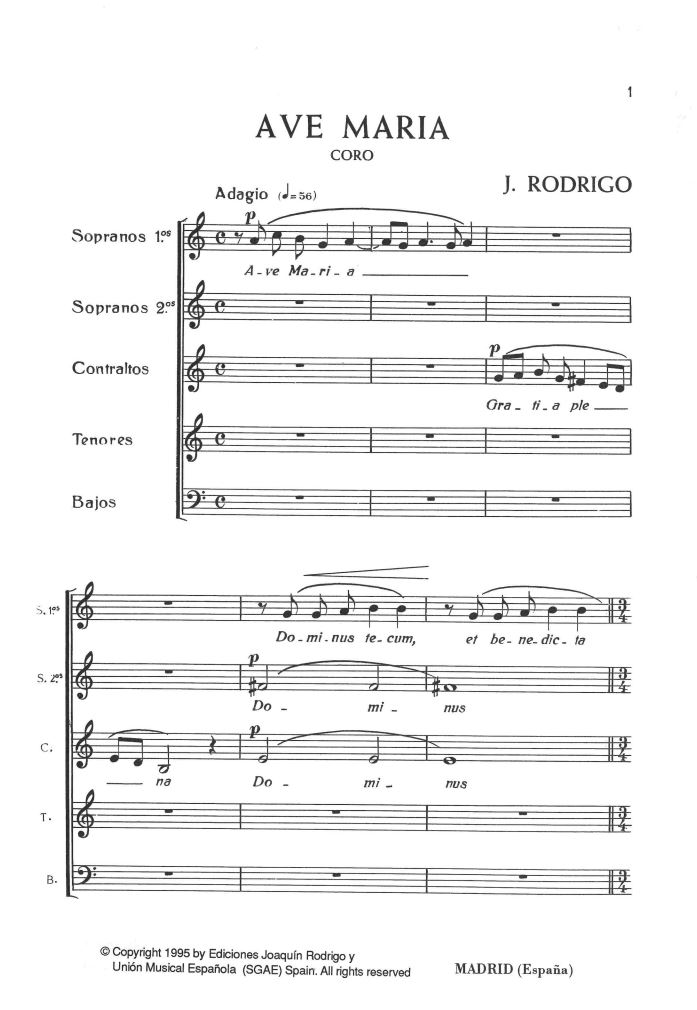 Beispielseite 1 zu Ave Maria for mixed chorus score