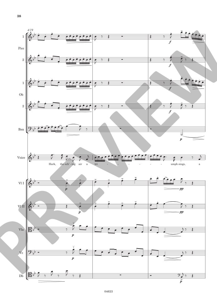 Beispielseite 14 zu Songs  for high voice and orchestra study score (en)