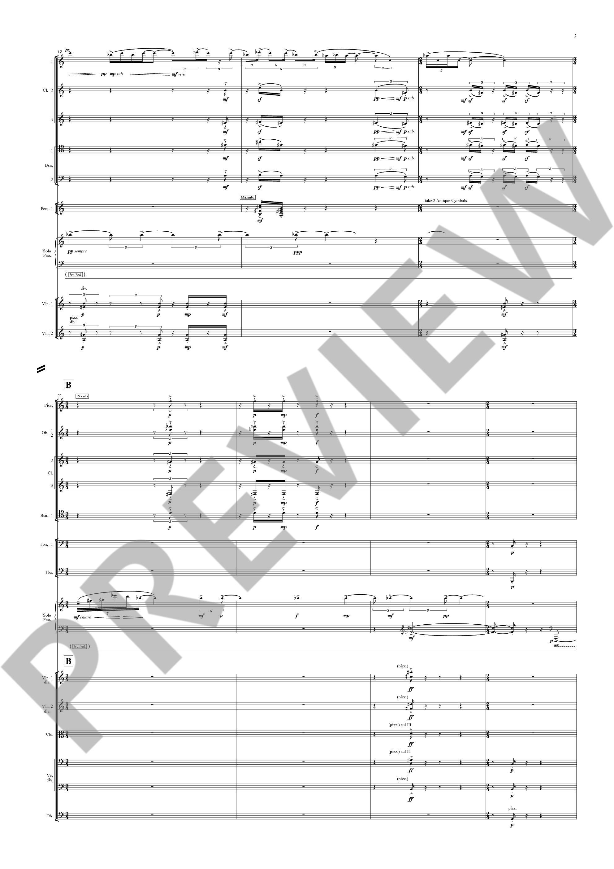 Beispielseite 3 zu The imaginery Museum for piano and orchestra study score