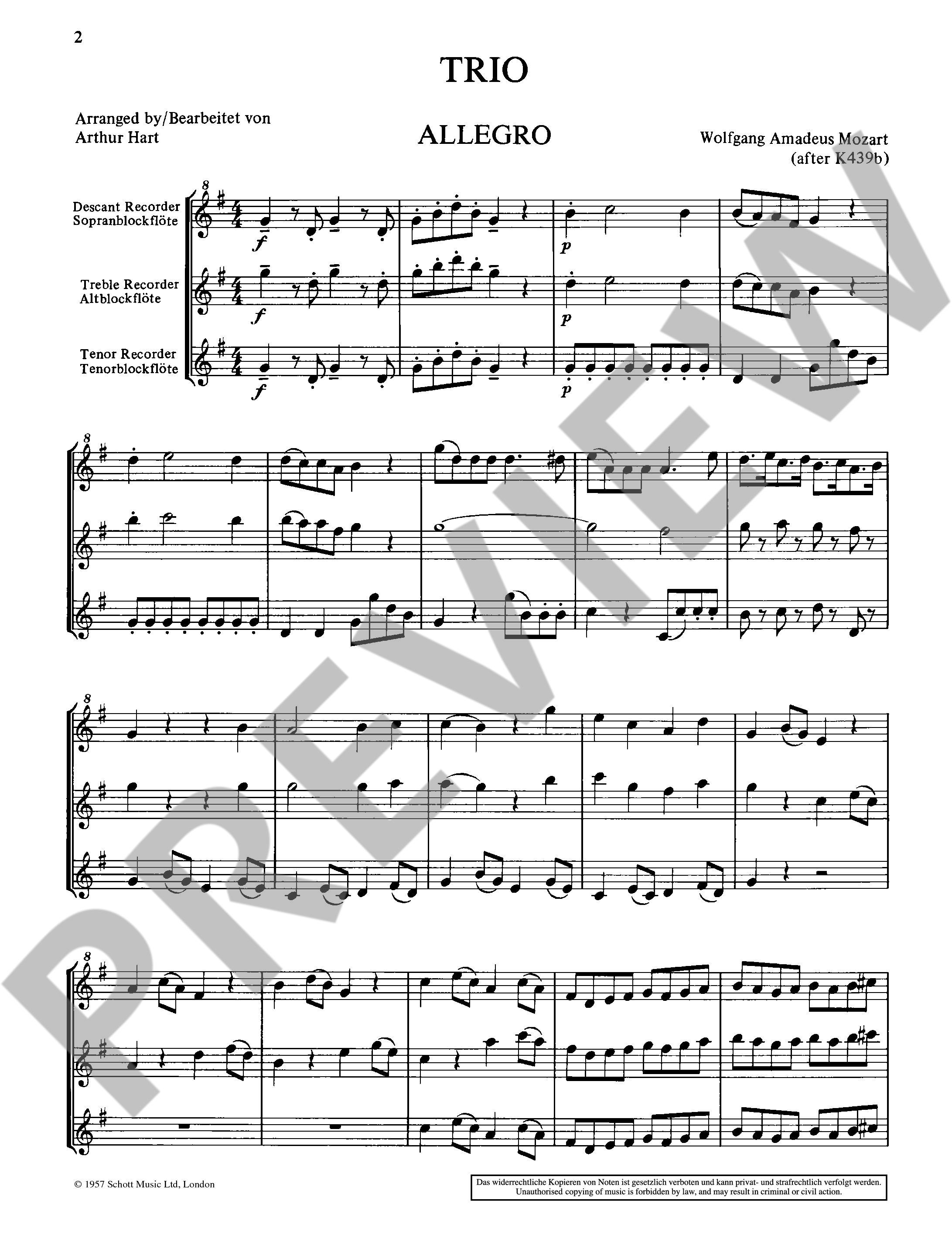 Beispielseite 1 zu Trio after KV439b for 3 recorders (SAT) score