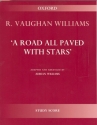 A Road all paved with Stars for orchestra study score