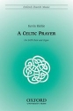 Riehle, Kevin A Celtic Prayer