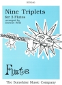Henry VIII, Montrose and Work, Traditional Arr: Reid Nine Triplets flute trio