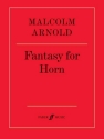 Fantasy  for horn solo