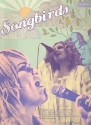 Songbirds: songbook piano/vocal/guitar