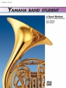YBS 3 / HORN IN F  Symphonic wind band