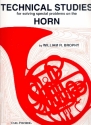 Technical Studies for solving special problems on the horn