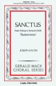 Johann Michael Haydn, Franz Joseph Haydn Sanctus Chor und Klavier Chorpartitur