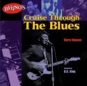 Barry Hansen, Rhino's Cruise Through the Blues  Buch