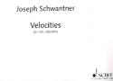 Velocities fr Marimbaphon