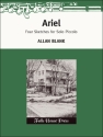 Allan Blank Ariel Piccolo-Flte