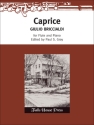Giulio Briccialdi Caprice Flte und Klavier