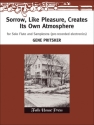 Gene Pritsker Sorrow, Like Pleasure, Creates Its Own Atmosphere Flte und Elektronik