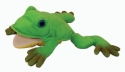 Freddie the Frog Teacher's Puppet Classroom Andere