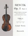 Schule der Bogentechnik op.2,1 fr Viola