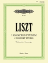 2 Konzert-Et�den f�r Klavier