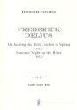 2 St�cke f�r kleines Orchester Studienpartitur