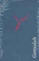 Gotteslob Dizese Wrzburg 12x17,5cm Balacron grau Standardausgabe