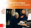 Flte de pan et orgue fr Panflte CD
