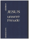 Jesus unsere Freude Gemeinschaftsliederbuch Gemeindeausgabe