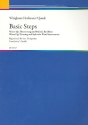 Basic Steps (+CD) Begleitheft fr den Dirigenten