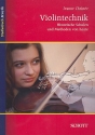 Violintechnik Historische Schulen und Methoden von heute