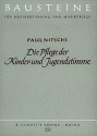 Die Pflege der Kinder- und Jugendstimme Band 1 Theoretischer Teil