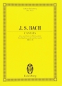 Also hat Gott die Welt geliebt Kantate Nr.68 BWV68 Studienpartitur